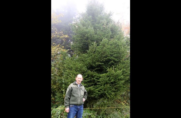 Waldbesitzer Josef Egli steht vor dem ersten Baum, bei welchem Asche beigesetzt worden ist. Mittlerweile gibt es rund 20 solcher Bäume. (Foto Geri Wyss)